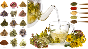 Herbs & Spices & Tea