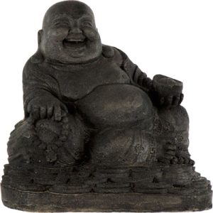 Statue Happy Buddha with Money #33872
