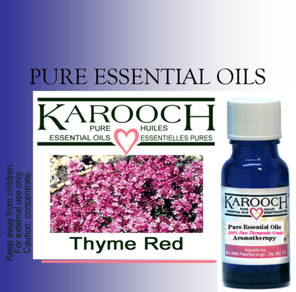 Thyme Red