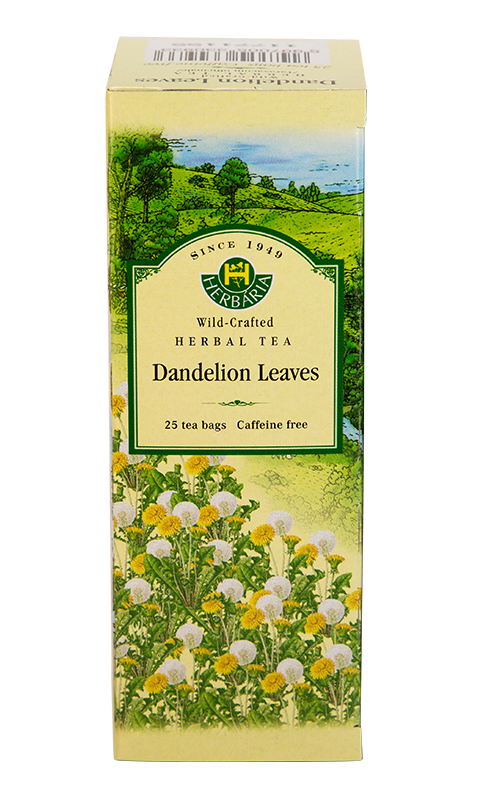 herbaria-dandelion.png