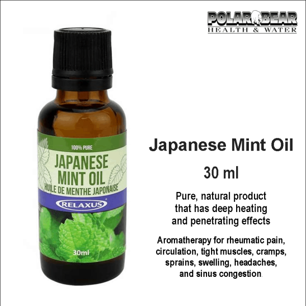 Mint Oil 30ml