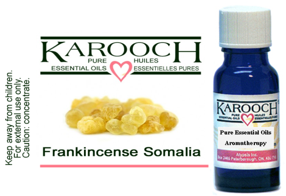 Essential Oils - Frankincense | Polar Bear Health & Water | Edmonton