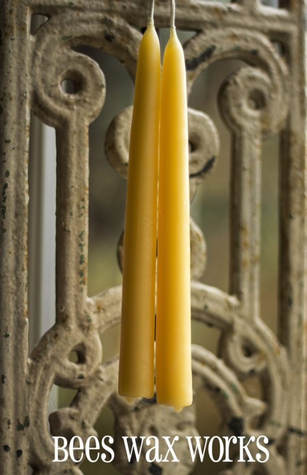 BeesWax Candle Classic Taper 8