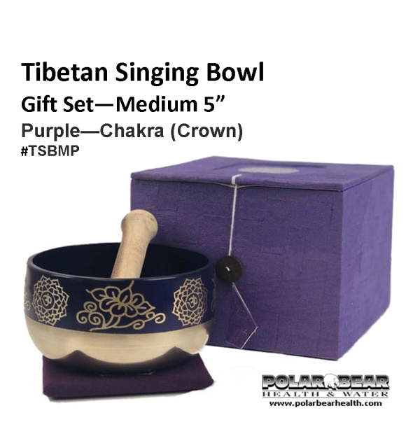Singing Bown Purple Medium TSBMP