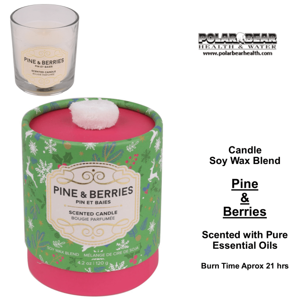Candle Pine & Berries
