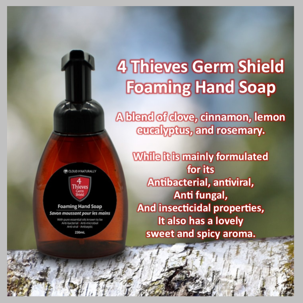 4 theives Foam hand soap