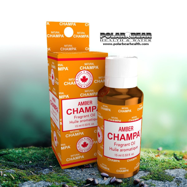 Champa Amber Oil