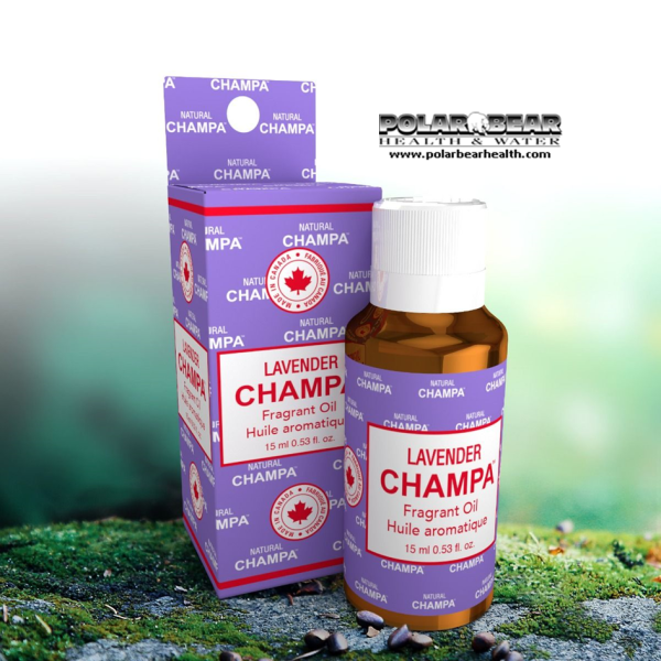 Champa Lavender Oil