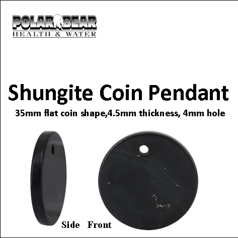 Shungite Coin Pendant