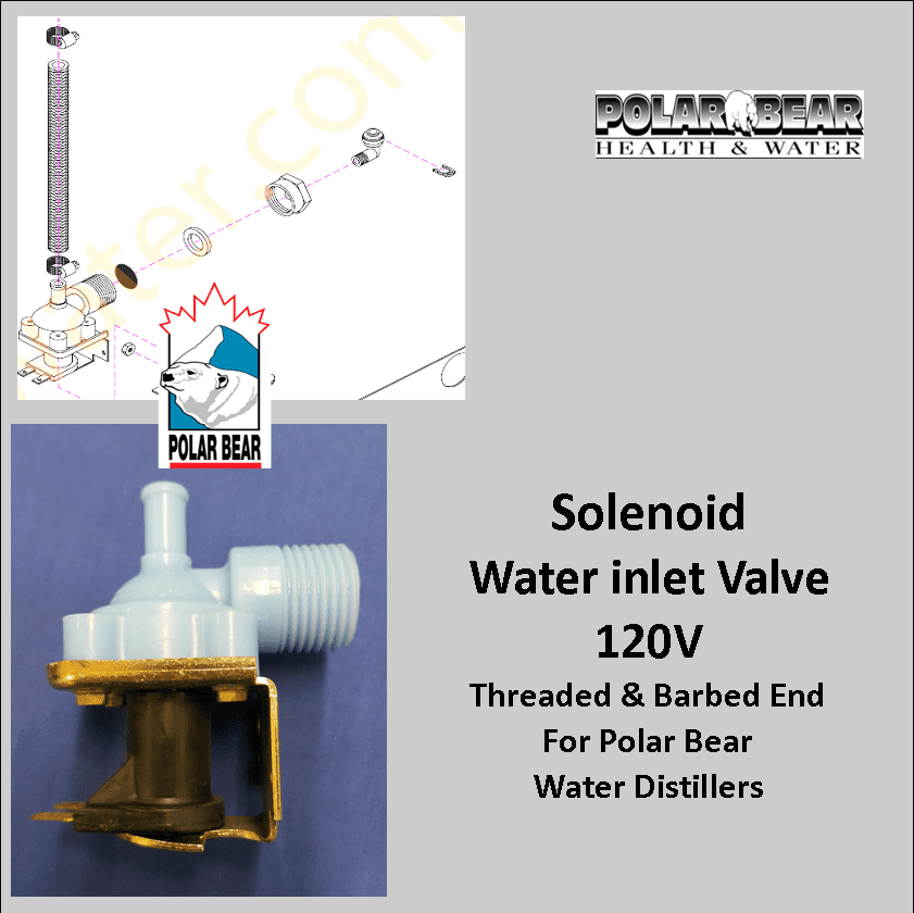 Intake Solenoid Valve Polar Bear, Polar Bear Health & Water