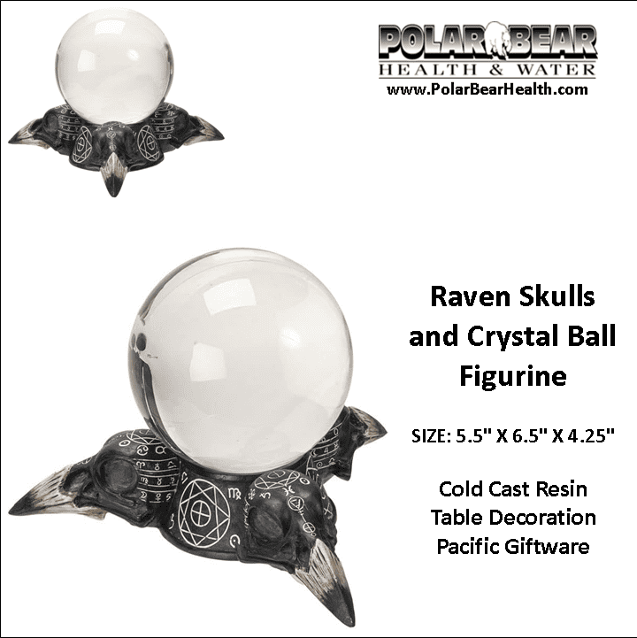 Crystal Ball Raven Skulls