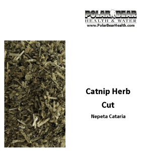 Catnip Cut  Bulk Herb - 100 gm