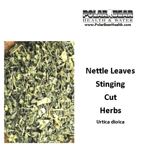 Stinging Nettle Leaves Cut Herb - 100 gm